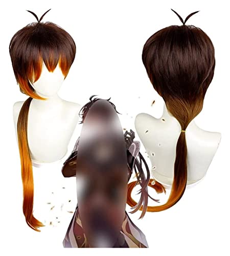 WELLHY Cosplay Perücke Genshin Impact Perücke Anime Cosplay Zhongli Perücke Verlaufende braune Perücke mit Gratis Perückenkappe for Halloween Party Karneval Nachtleben Konzerte Hochzeiten for Coser von WELLHY
