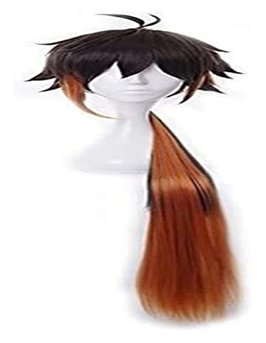 WELLHY Cosplay Perücke Genshin Impact Perücke Anime Cosplay Zhongli Perücke mit gratis Perückenkappe for Halloween Party Karneval Nachtleben Konzerte Hochzeiten for Coser von WELLHY