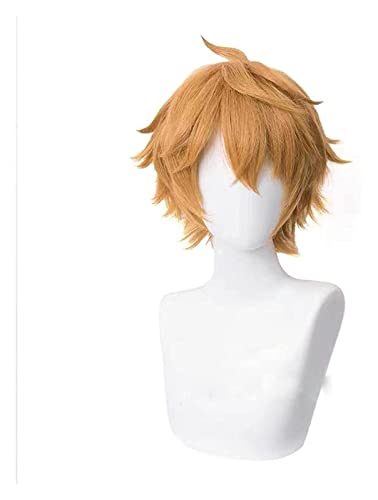 WELLHY Cosplay Perücke Genshin Impact Tartaglia Cosplay 30 cm Kurz Weihnachten Anime Perücke Hitzebeständiges Kunsthaar Rollenspiel Kostüm Perücken for Coser von WELLHY