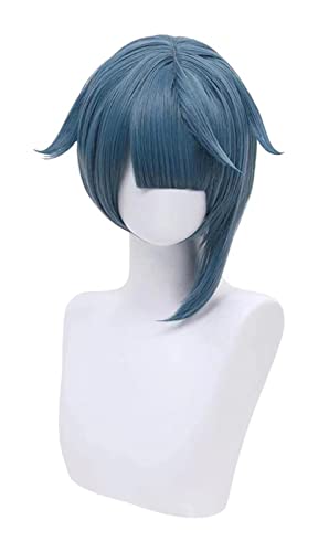 WELLHY Cosplay Perücke Genshin Impact Xingqiu Cosplay 30cm Perücke Kurz Grau Blau Perücke Cosplay Anime Cosplay Perücken Hitzebeständige Synthetische Halloween Perücken for Coser von WELLHY