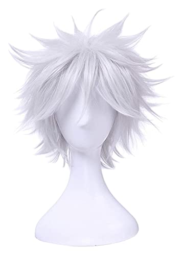 WELLHY Cosplay Perücke Gintama Gintoki Sakata Cosplay Perücken 35cm Kurz Splitter Weiß Herren Perücke Kunsthaar Cosplay Perücke Halloween Party for Coser von WELLHY