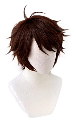 WELLHY Cosplay Perücke Haikyuu!!Oikawa Tooru dunkelbraune Kurze Perücke Cosplay Kostüm Hitzebeständiges Kunsthaar Haikiyu Herren Perücke WIGCAP for Coser von WELLHY