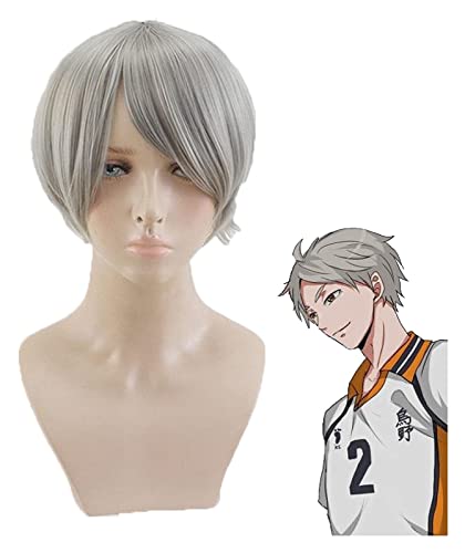 WELLHY Cosplay Perücke Haikyuu!!Sugawara Koushi Cosplay Perücke kurz grau Hochtemperaturfaser Haar Kostüm Spiel Perücken Rose Network for Coser von WELLHY