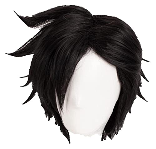 WELLHY Cosplay Perücke Haikyuu!!Tetsurou Kuroo Tetsurou Cosplay-Perücken, kurz, schwarz, hitzebeständig, Kunsthaar-Perücke + Perückenkappe for Coser von WELLHY