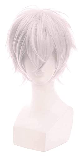 WELLHY Cosplay Perücke Männer Cosplay Perücken 30 cm Hitzebeständig Kurz Grau Weiß mit Rosa Farbe Kunsthaar Halloween Cosplay Perücke for Coser von WELLHY