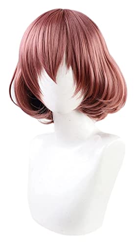 WELLHY Cosplay Perücke Maid-fuku Kamen Cosplay Perücke Anime High-Rise Invasion Cosplay Perücke Damen Kopfbedeckung Kurzes hitzebeständiges Kunsthaar for Coser von WELLHY