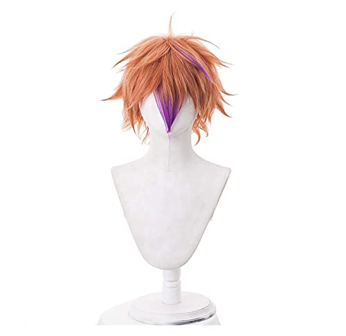 WELLHY Cosplay Perücke Mode Cosplay Perücke Anime Touken Ranbu Online gotoutoushirou Perücke Cosplay Haar Dunkelblau Hitzebeständige Perückenkappe for Coser von WELLHY