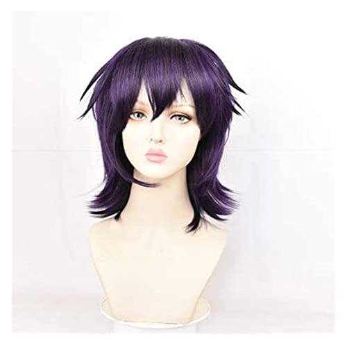 WELLHY Cosplay Perücke Narancia Ghirga Perücke Anime Perücke 's Bizarre Adventure Cosplay Comic-Con Halloween Party Karneval Erwachsene Männer und Frauen Anime Fans Geschenk (Purple Black Wig) FLYAND von WELLHY