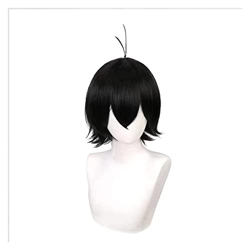 WELLHY Cosplay Perücke Sk8 The Miya Cosplay 33cm Perücke Kurz Schwarze Perücke Cosplay Anime Cosplay Perücken Hitzebeständige Synthetische Perücken Halloween Party for Coser von WELLHY