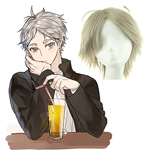 WELLHY Cosplay Perücke Sugawara Koushi Cosplay Perücke Haikyuu!!Kostümspiel Perücken kurz grau Halloween Kostüme Haare for Coser von WELLHY