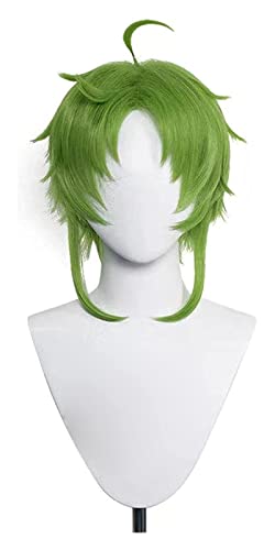 WELLHY Cosplay Perücke Sylphiette Grauratte Perücke Arbeitslose Reinkarnation Cosplay Mushoku Tensei Grüne Perücke Cosplay Anime Perücken Hitzebeständige Synthetische Perücken for Coser von WELLHY