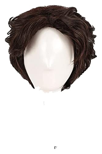 WELLHY Cosplay Perücke Tangled Rapunzel Flynn Rider Männer Cosplay Perücken kurz Dunkelbraun lockig hitzebeständige Kunsthaarperücke + Perückenkappe for Coser von WELLHY