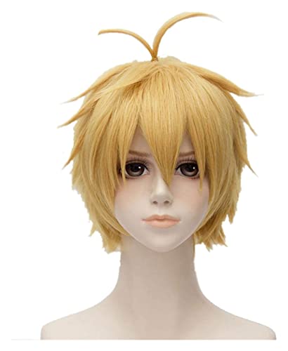 WELLHY Cosplay Perücke The Seven Deadly Sins Meliodas Cosplay Perücke Hitzebeständiges Kunsthaar Perucas Cosplay Perücke for Coser von WELLHY