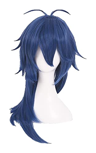 WELLHY Cosplay Wig Division Rap Battle Wigs Hypnosis MIC Dice Arisugawa Wig 60cm Blue Wellig Heat Resistant Synthetic Hair Cosplay Wig + Wig Cap for Coser von WELLHY