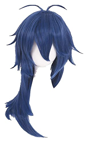 WELLHY Division Rap Battle Wigs Hypnosis MIC Dice Arisugawa Wig 60cm Blue Wellig Heat Resistant Synthetic Hair Cosplay Wig + Wig Cap Coser Perücke von WELLHY