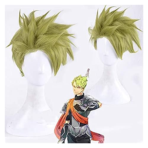 WELLHY Fate/Apocrypha Fate/Grand Order dunkelgrün Kunsthaar Halloween Party Cosplay Perücke Coser Perücke von WELLHY