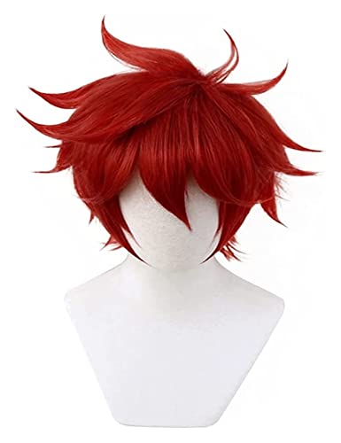 WELLHY SK8 The Reki Kyan Anime Cosplay Perücke (rot) Coser Perücke von WELLHY