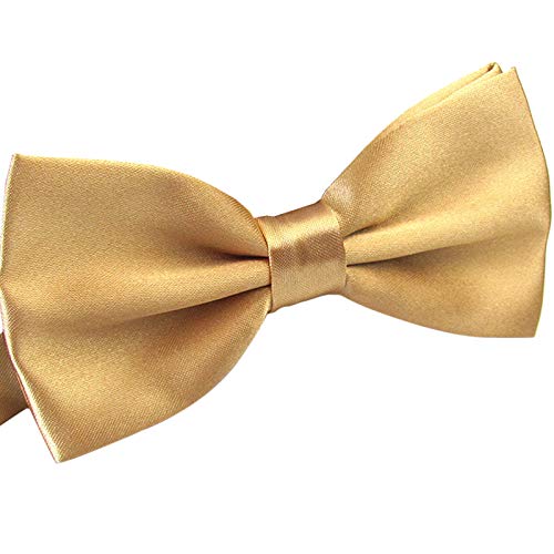 WELROG Herren Fliege für Hochzeit Party - Verstellbar Satiniert Fliege Fancy Einfarbig Fliege (Champagner WELROG Herren Fliege für Hochzeit Party - Verstellbar Satiniert Fliege Fancy Einfarbig Fliege (Champagner von WELROG