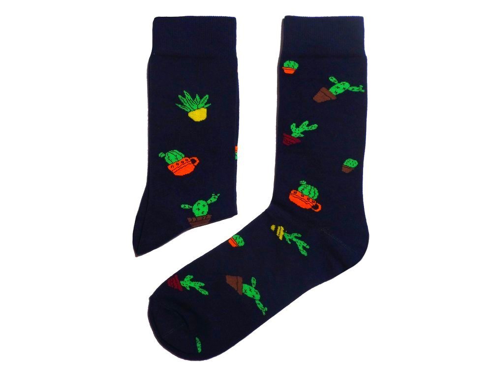 WERI SPEZIALS Strumpfhersteller GmbH Businesssocken Herren Businesssocken >>Kaktusland<< aus Baumwolle von WERI SPEZIALS Strumpfhersteller GmbH