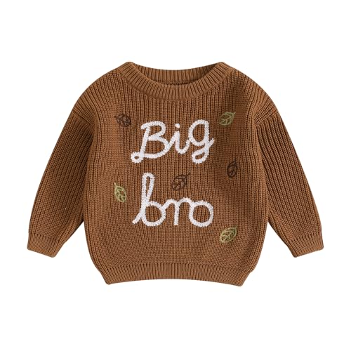 WERNZATT-Baby Boys Sweater,Brother Matching Clothes Outfit Langarm Rundhalsausschnitt Buchstaben Blätter Warm Pullover (Brown Big Bro, 2-3 Years) von WERNZATT