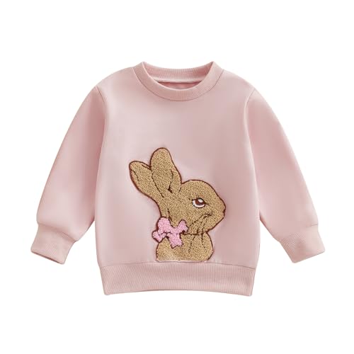 WERNZATT Kinder Mädchen Jungen Sweatshirts Baby Ostern Outfits Brief Ostereier Stickerei Crewneck Langarm Tops Pullover Frühling Kleidung (Pink 3, 3-6 Months) von WERNZATT