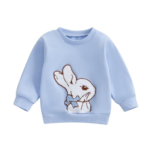 WERNZATT Kinder Mädchen Jungen Sweatshirts Baby Ostern Outfits Brief Ostereier Stickerei Crewneck Langarm Tops Pullover Frühling Kleidung (Sky Blue 3, 3-6 Months) von WERNZATT