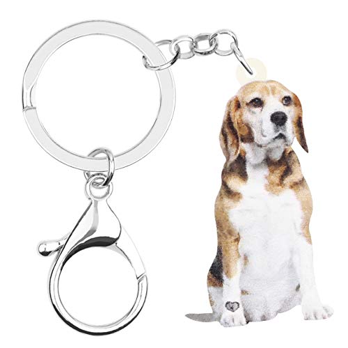 WEVENI Acryl niedlich Beagle Hund Schlüsselanhänger Zubehör für Frauen Mädchen Tasche Auto Charms (Beagle C) von WEVENI