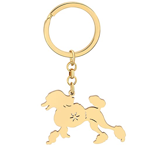 WEVENI Emaille-Legierung Pudel Hund Schlüsselanhänger Haustier Schlüsselanhänger Tasche Auto Geldbörse Charms für Frauen Mädchen, 18 Karat vergoldeter Edelstahl, 42mm x 42 mm von WEVENI JEWELRY