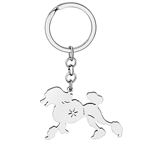 WEVENI Emaille-Legierung Pudel Hund Schlüsselanhänger Haustier Schlüsselanhänger Tasche Auto Geldbörse Charms für Frauen Mädchen, Versilberter Edelstahl, 42mm x 42 mm von WEVENI JEWELRY