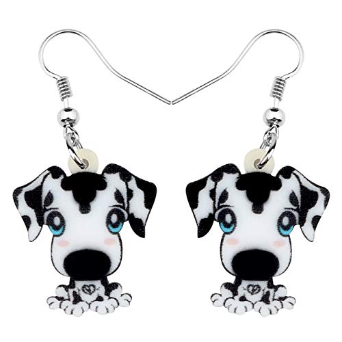 WEVENI Acryl Dalmatiner Hund Ohrringe Dangle Drop Welpe Haustier Schmuck Für Frauen Mädchen Geschenke (Schnee) von WEVENI