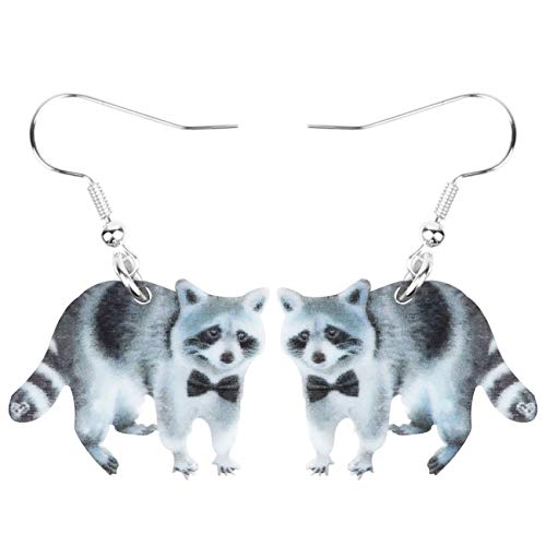 WEVENI Acryl Northern Raccoon Ohrringe Dangle Drop Lovely Schmuck für Frauen Mädchen Damen Geschenke (Blau) von WEVENI