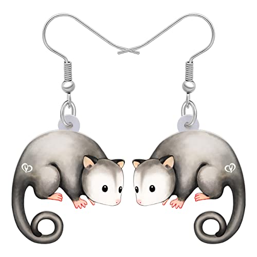 WEVENI Acryl Possum Ohrringe Opossum Dangle Neuheit Schmuck Für Frauen Mädchen Damen zierliches Geschenk (Opossum) von WEVENI