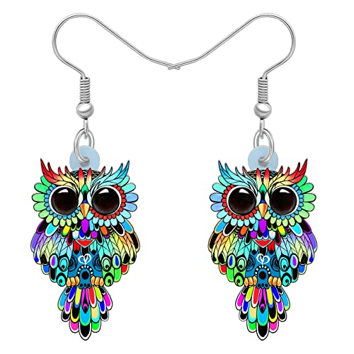 WEVENI Cute Acryl Eule Ohrringe Anhänger Cartoon Vogel Schmuck für Damen Mädchen Eule Liebhaber Geschenke (Regenbogen) von WEVENI