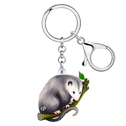 WEVENI Niedlicher Acryl-Opossum-Schlüsselanhänger, Opossum-Schlüsselanhänger, lustige Ratte, Charms, Schmuck für Frauen und Mädchen, Autotasche, Brieftasche, Zubehör, Opossum B, 41mm x 40mm von WEVENI