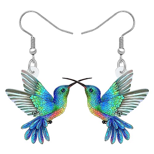 WEVENI Ohrringe aus Acryl mit Kolibri-Motiv, für Damen und Mädchen, Modeschmuck, Charm-Geschenk, Acryl, Kein Edelstein von WEVENI