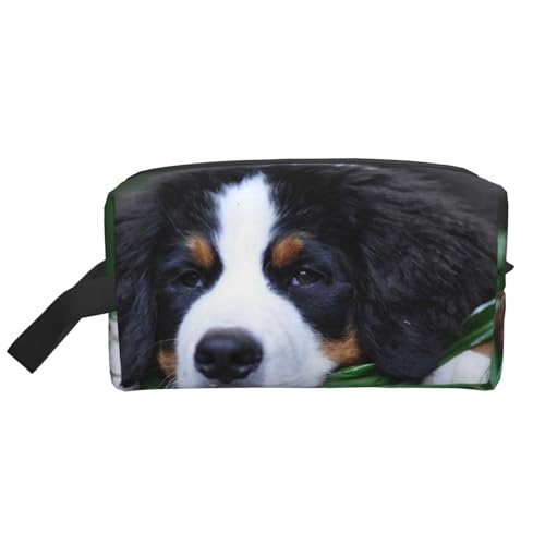 Schöner Berner Sennenhund, Make-up-Tasche, Kosmetiktasche, tragbare Reise-Kulturtasche, Make-up-Tasche, Organizer von WEVFGHI