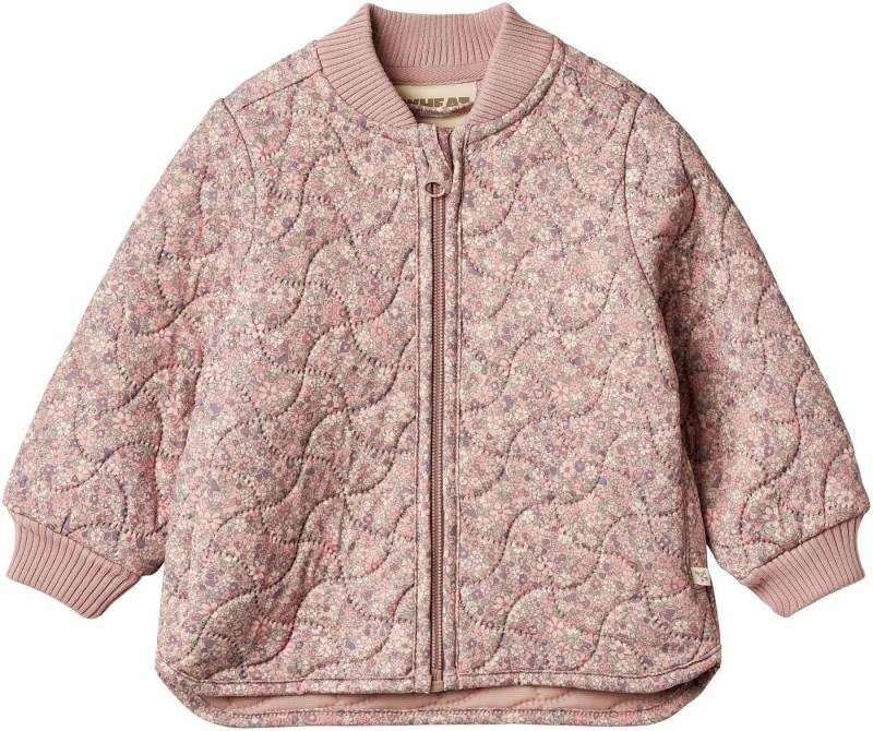 WHEAT Outdoorjacke Thermo Jacket Loui wasserdicht von WHEAT