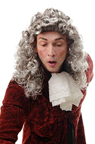 WIG ME UP - AD-002-P4T309 Perücke Herren Damen Fasching Karneval Braun Grau Silbergrau Vokuhila Mullet Proll lockig Barock Edelmann Judge Richter Lord von WIG ME UP
