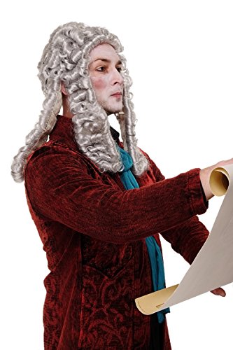 WIG ME UP - WIG002-K309 Perücke Faschingsperücke Karneval Adliger Barock Renaissance Richter Lord Komponist Grau von WIG ME UP
