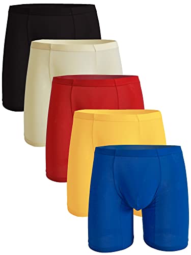 WINDAY Herren Slips Atmungsaktiv Eisseide Sport Inspiriert Unterwäsche Boxer Briefs, 5er-Pack gemischte Farben B, XX-Large von WINDAY