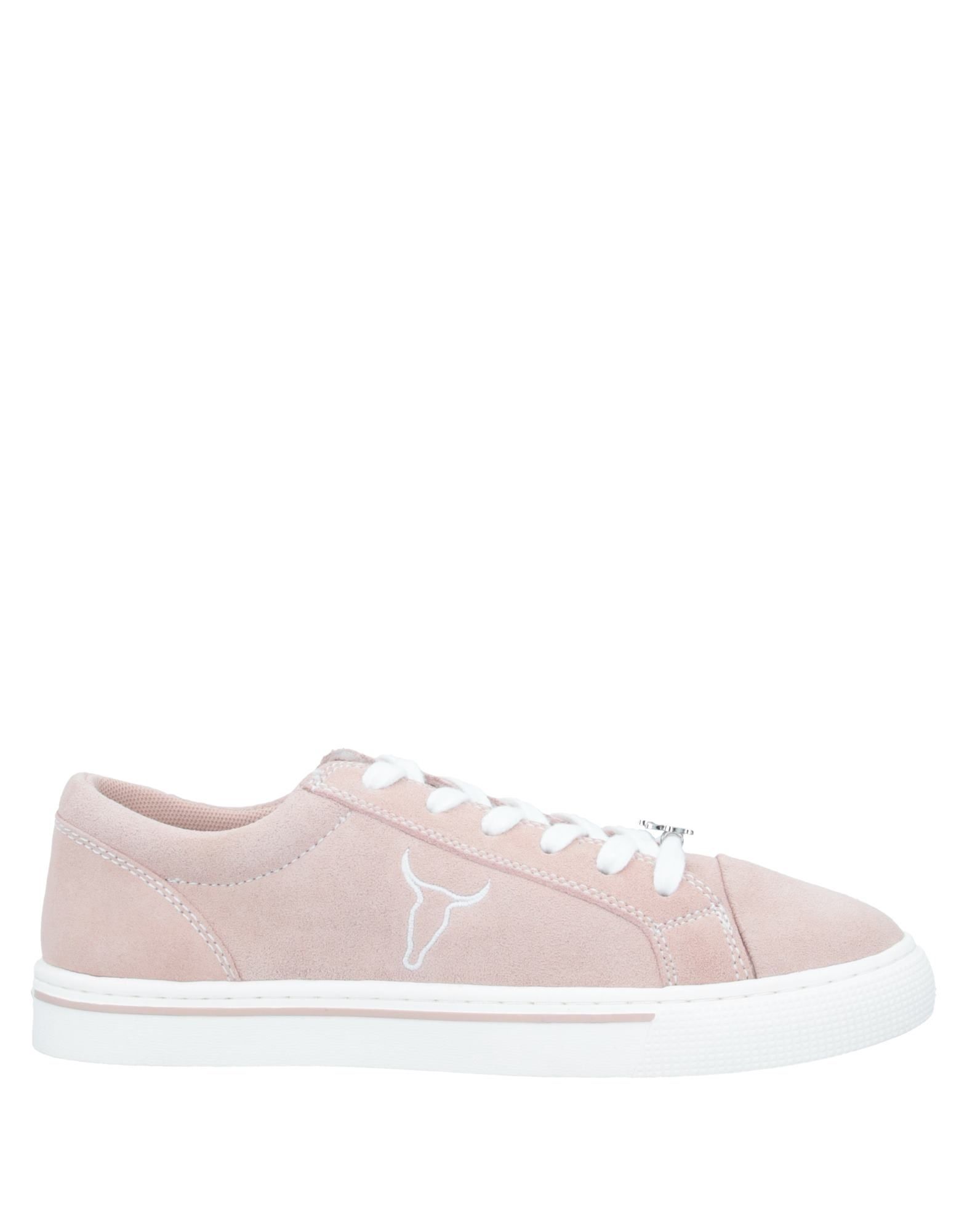 WINDSOR SMITH Sneakers Damen Hellrosa von WINDSOR SMITH