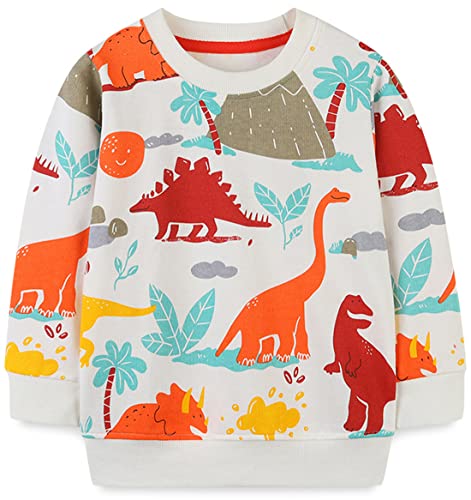 WINKEEY Jungen Sweatshirt Pullover Langarm Dinosaurier Bagger Rakete Winter Oberteile Kawaii Hoodie 80-130 2-7 Jahre,Dinosaurier2 2T von WINKEEY