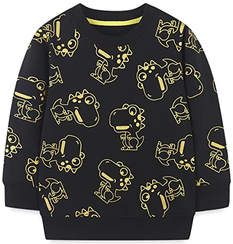 WINKEEY Jungen Sweatshirt Pullover Langarm Dinosaurier Bagger Rakete Winter Oberteile Kawaii Hoodie 80-130 2-7 Jahre,Dinosaurier3 5T von WINKEEY