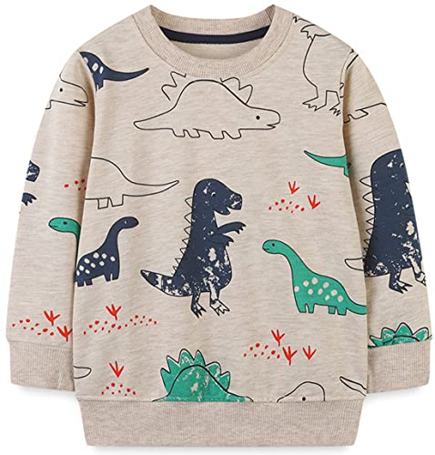 WINKEEY Jungen Sweatshirt Pullover Langarm Dinosaurier Bagger Rakete Winter Oberteile Kawaii Hoodie 80-130 2-7 Jahre,Dinosaurier4 2T von WINKEEY