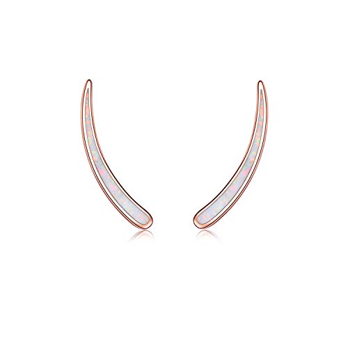 WINNICACA Opal Ohrringe Sterling Silber Bar Climber Crawler Manschette Rose Gold Ohrringe für Frauen Mädchen Geschenke Schmuck von WINNICACA