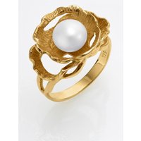 Ring von Witt