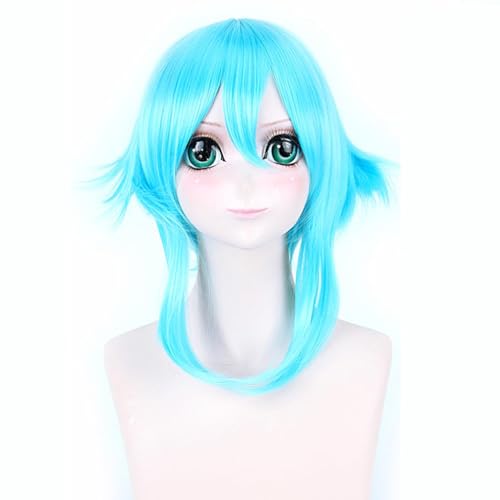 Anime Asada Shino Swords Arts Online Cosplay Anime Cosplay Perücke Synthetische Perücken Mädchen Damen Herren Perücken von WLJEHWLJ