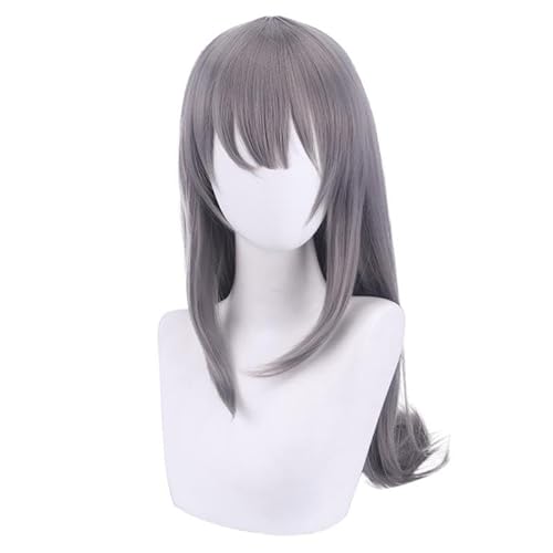 Anime Sakurajima Mai Party Cosplay Anime Cosplay Perücke synthetische Perücken Mädchen Damen Herren Perücken von WLJEHWLJ