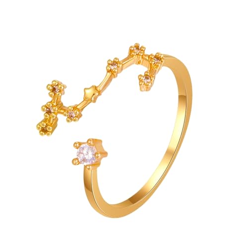 WLLDDDIU 925 Sterling Silber Cz 12 Sternzeichen Ring für Frauen Männer Verstellbarer Offener Daumenring Dünn Stapelbar Sternbild Astrologie Statement Band Schmuck Geburtstagsgeschenke Gold Fische von WLLDDDIU