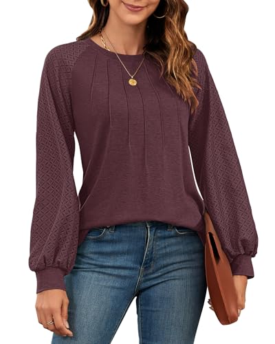WNEEDU Sweatshirt Damen Pullover Herbst Langarmshirt Oberteile Tops T-Shirts Elegante Langarm Spitzen Lässig Bluse Frühling und Herbst Tops von WNEEDU